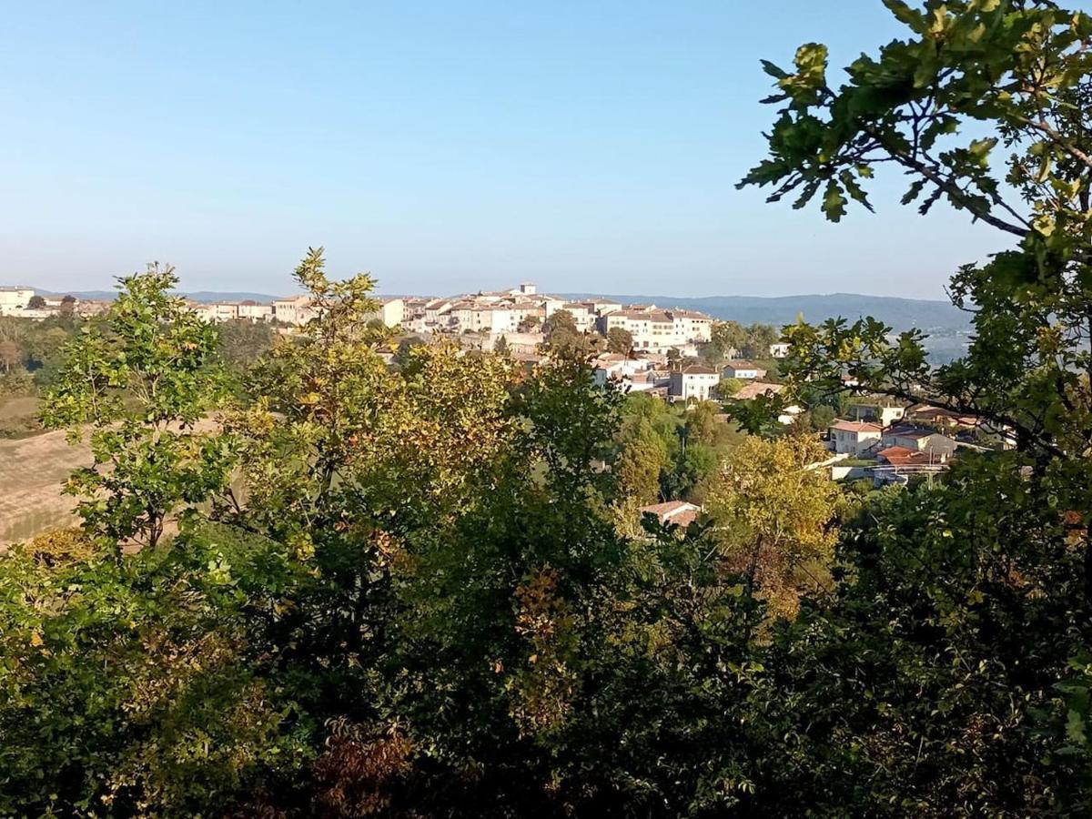 La Roulotte Du Tonnelier Villa Castelnau-de-Montmiral Kültér fotó
