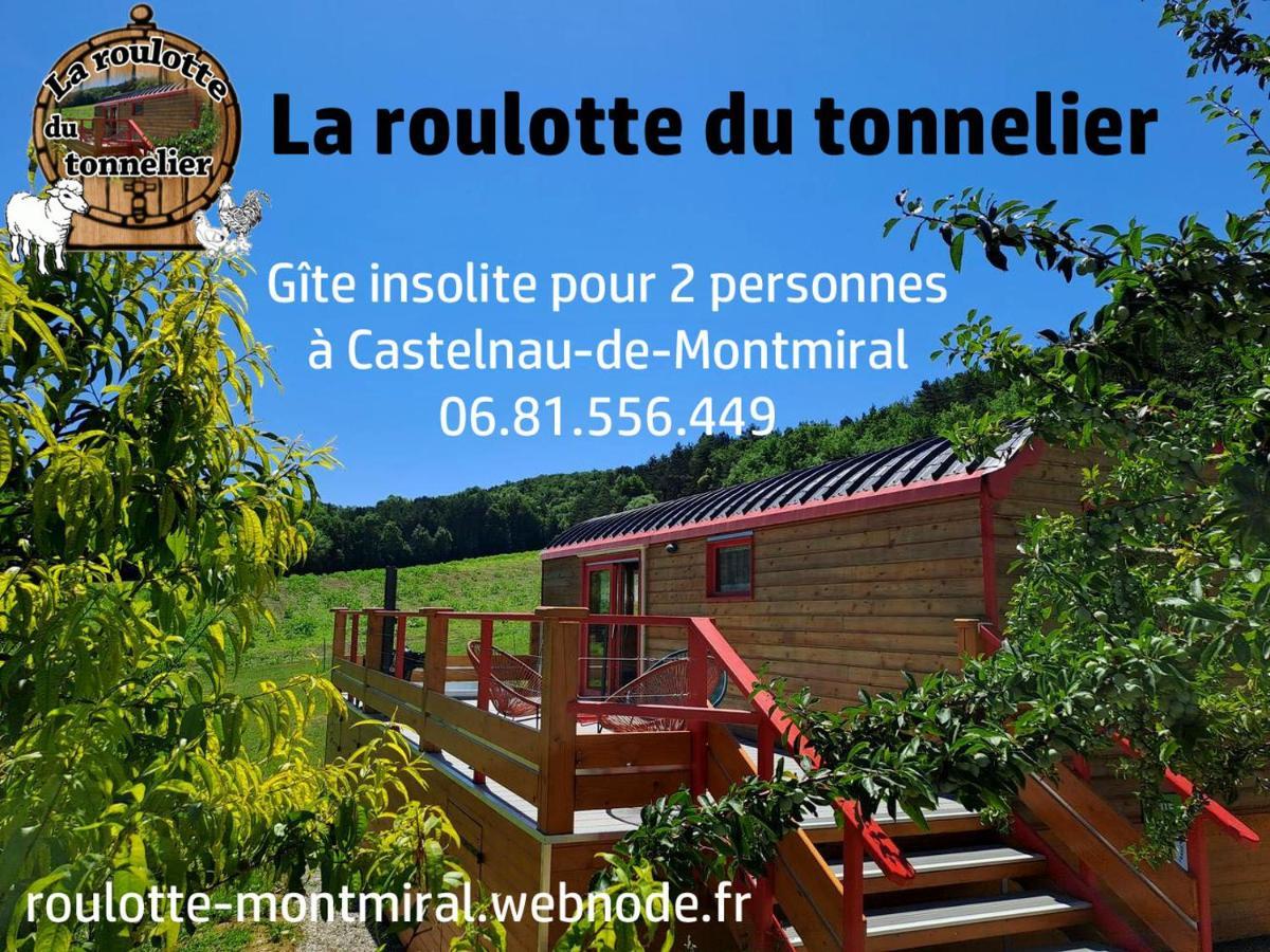 La Roulotte Du Tonnelier Villa Castelnau-de-Montmiral Kültér fotó